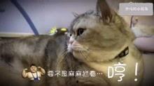 吃瓜搞怪沙雕视频大全,笑料横生！吃瓜搞怪沙雕视频大盘点