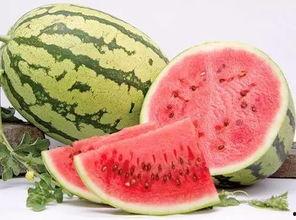 吃硒砂瓜可以减脂吗视频,揭秘神奇瓜果的瘦身奥秘 吃硒砂瓜可以减脂吗视频,揭秘神奇瓜果的瘦身奥秘