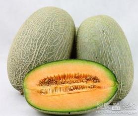 天鹅吃哈密瓜好吗视频,一场意外的美味邂逅