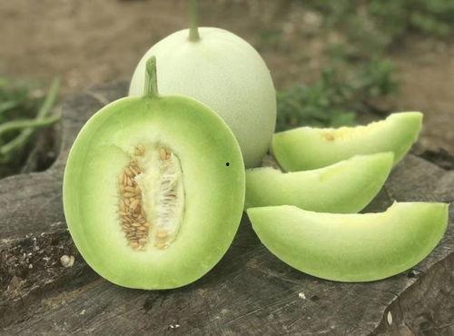 吃玉菇瓜中毒了怎么办视频,视频解析应对措施